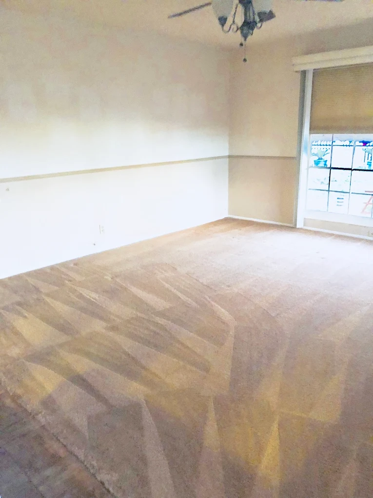 Bedroom carpet after deep steam cleaning showing vacuum lines