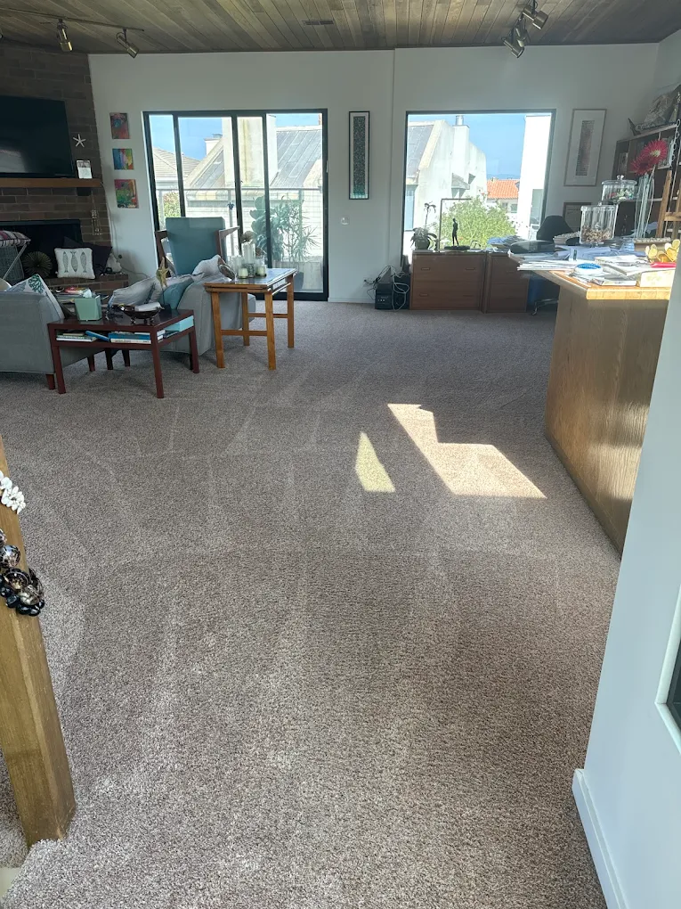 Freshly steam-cleaned plush carpet in Oxnard living room